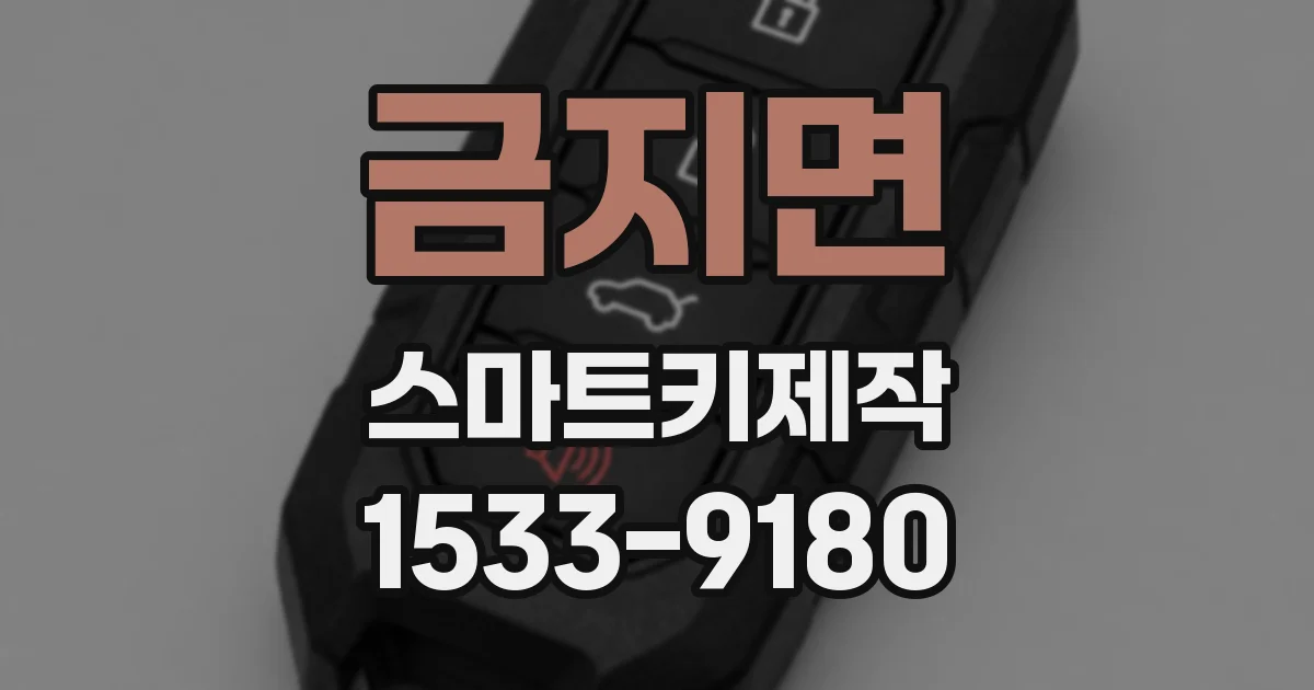 금지면 스마트키제작