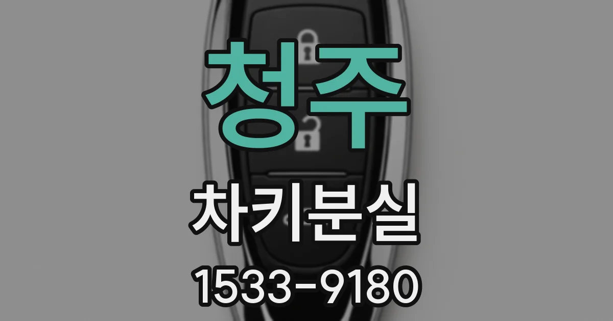 청주 차키분실