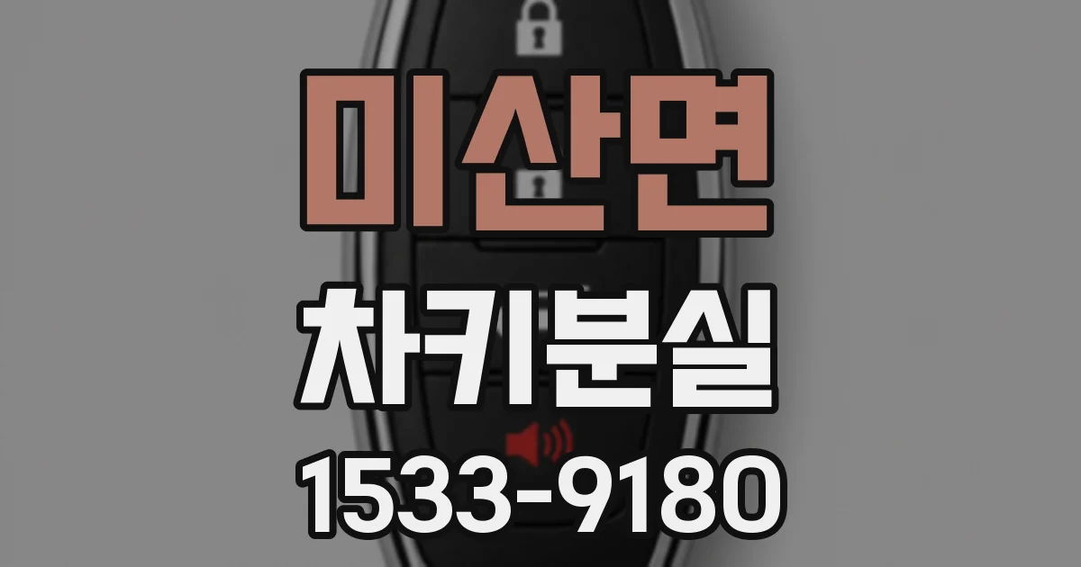 미산면 차키분실