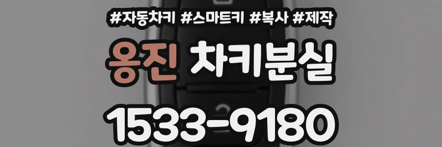 옹진 차키분실