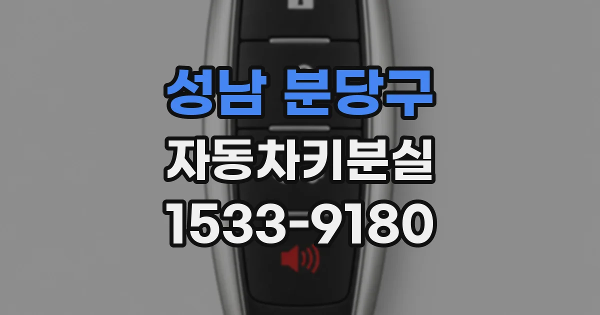 성남 분당구 자동차키분실