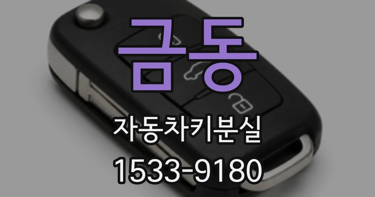 금동 자동차키분실