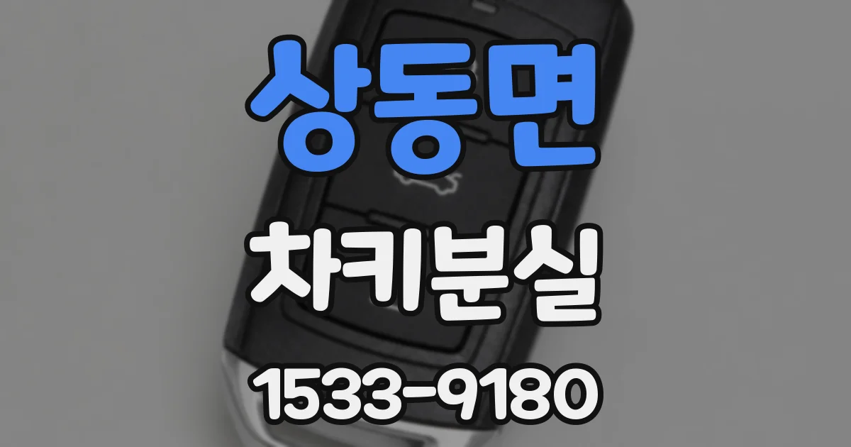 상동면 차키분실