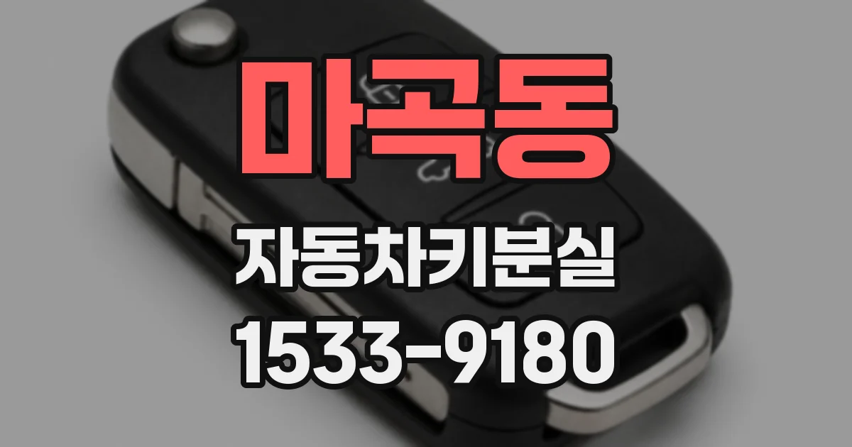 마곡동 자동차키분실