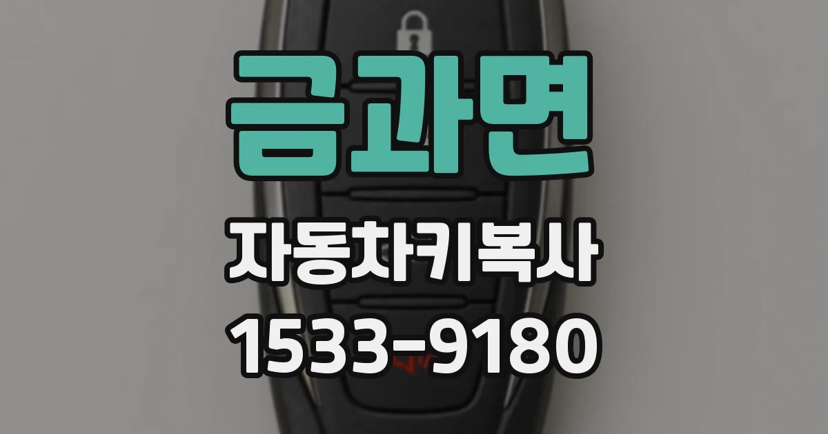 금과면 자동차키복사