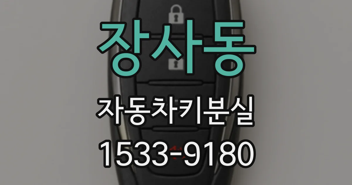 장사동 자동차키분실