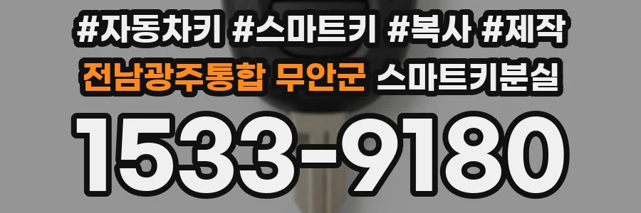 전남광주통합 무안군 스마트키분실