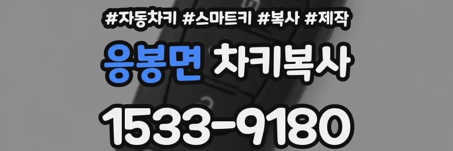 응봉면 차키복사