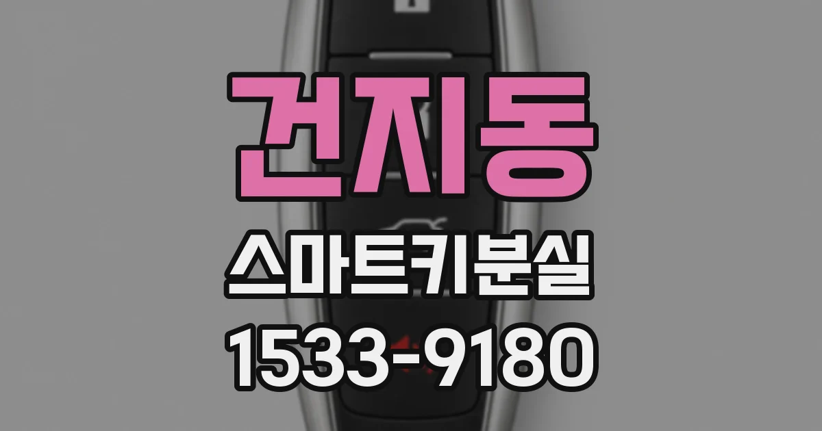 건지동 스마트키분실