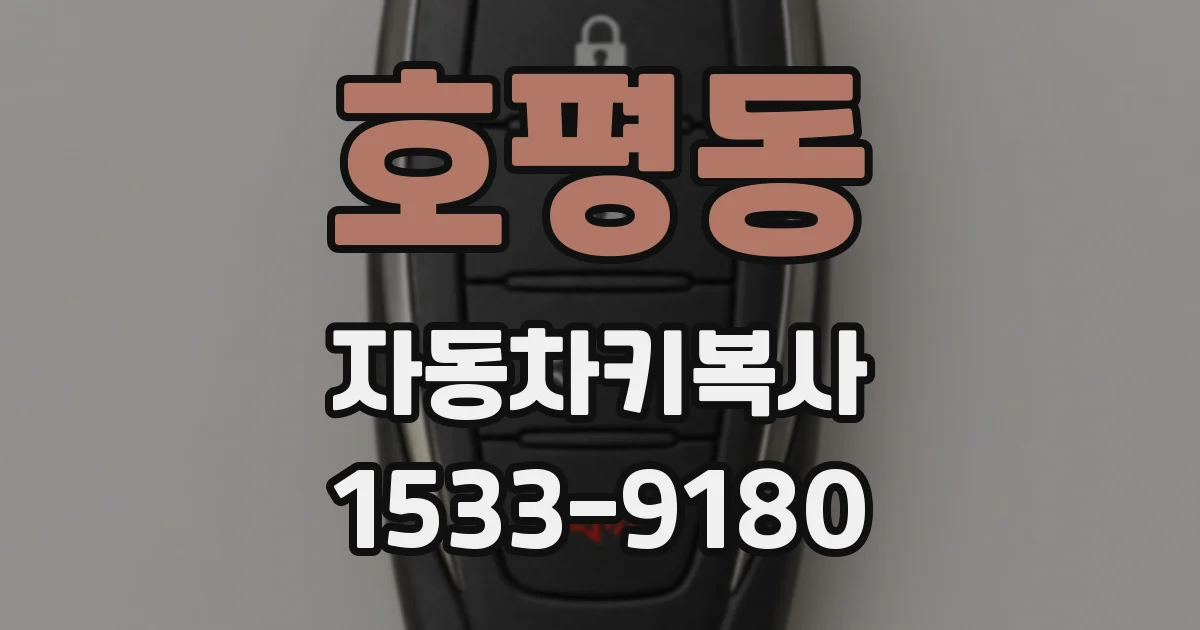 호평동 자동차키복사