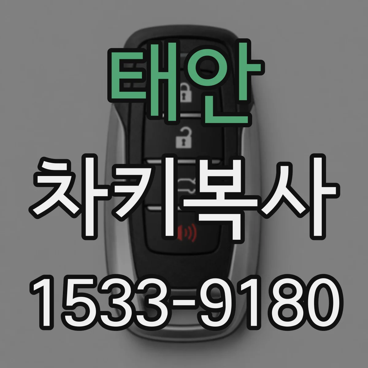 태안 차키복사