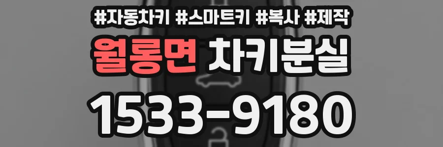 월롱면 차키분실