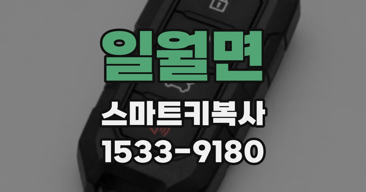 일월면 스마트키복사