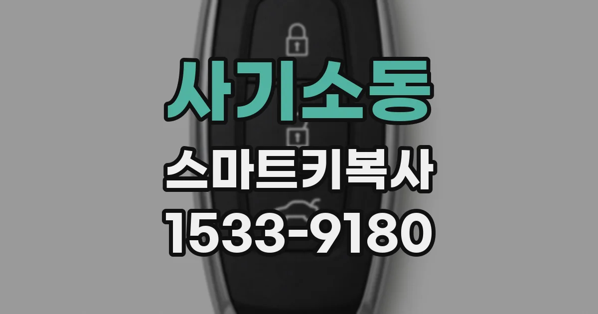 사기소동 스마트키복사