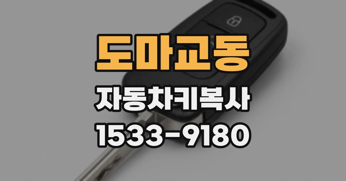 도마교동 자동차키복사
