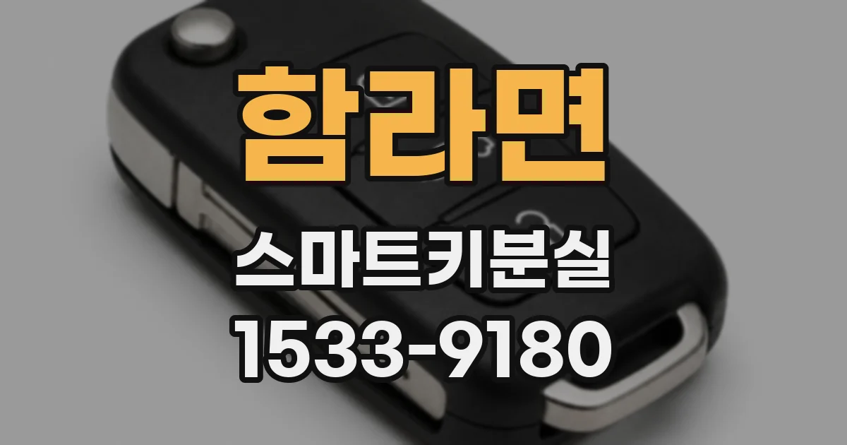함라면 스마트키분실