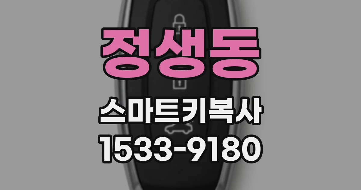 정생동 스마트키복사