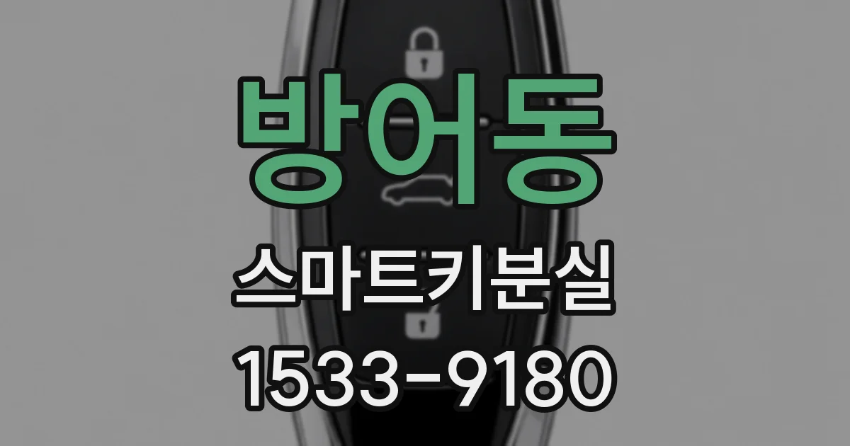 방어동 스마트키분실