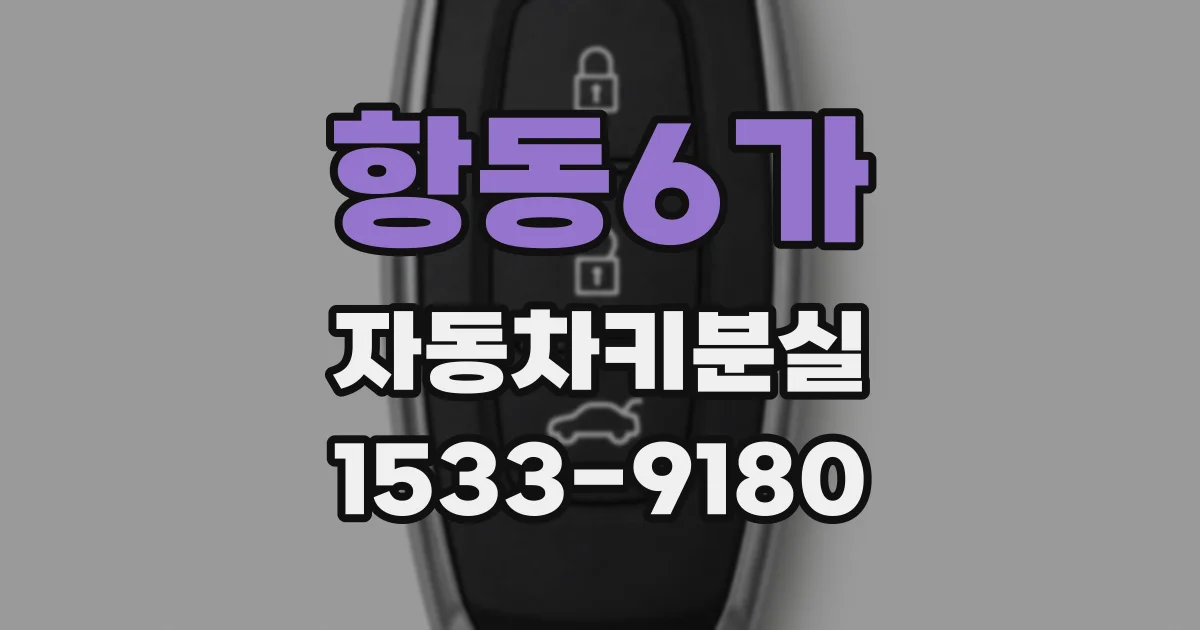 항동6가 자동차키분실