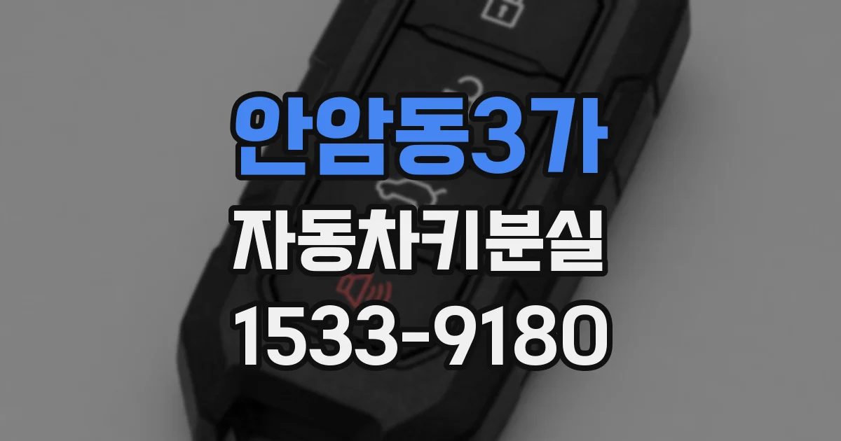 안암동3가 자동차키분실