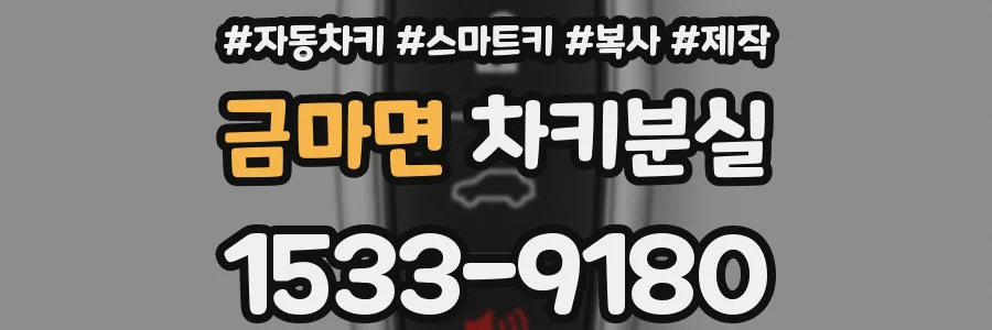 금마면 차키분실