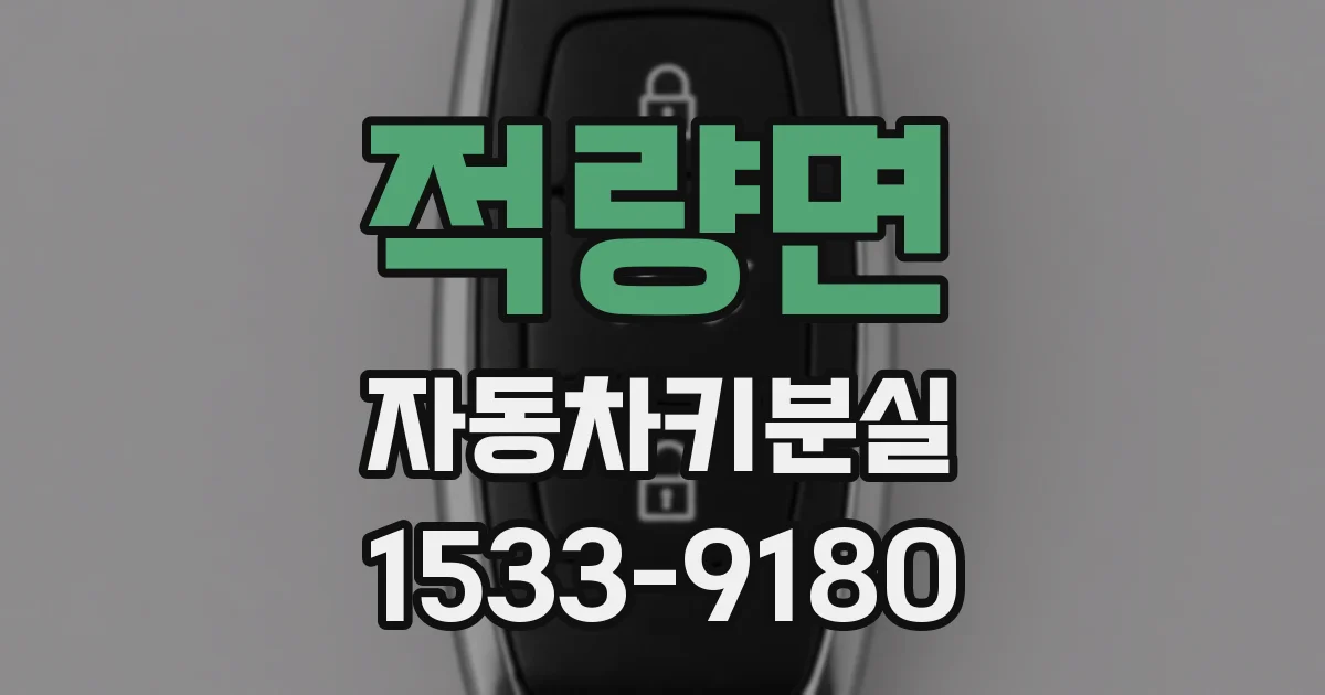 적량면 자동차키분실