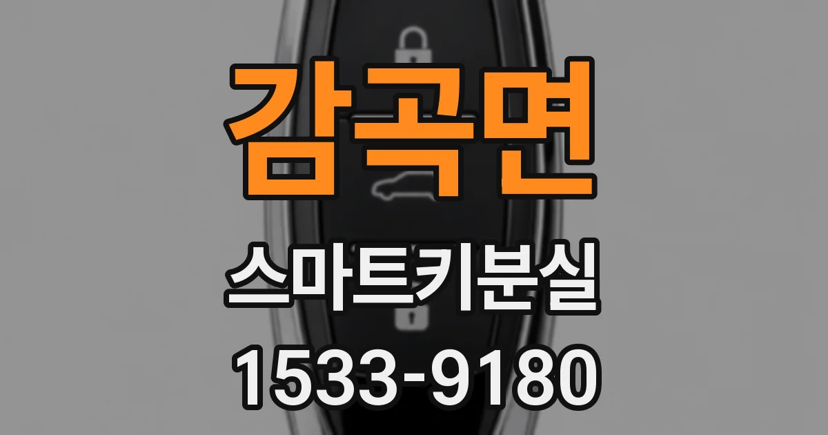 감곡면 스마트키분실