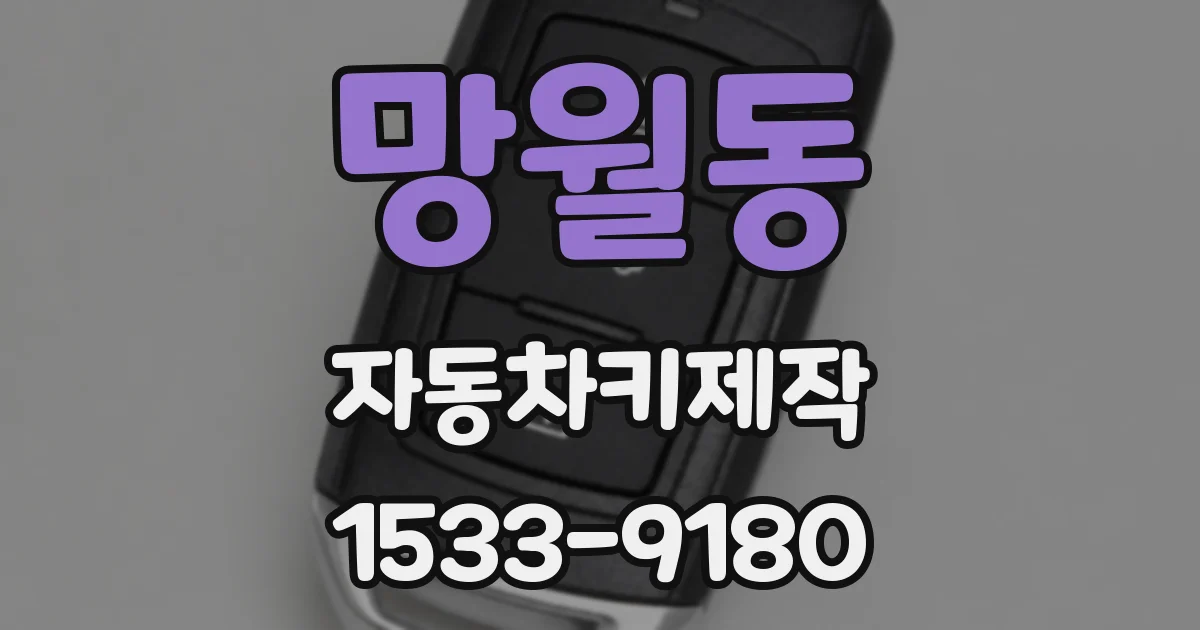 망월동 자동차키제작