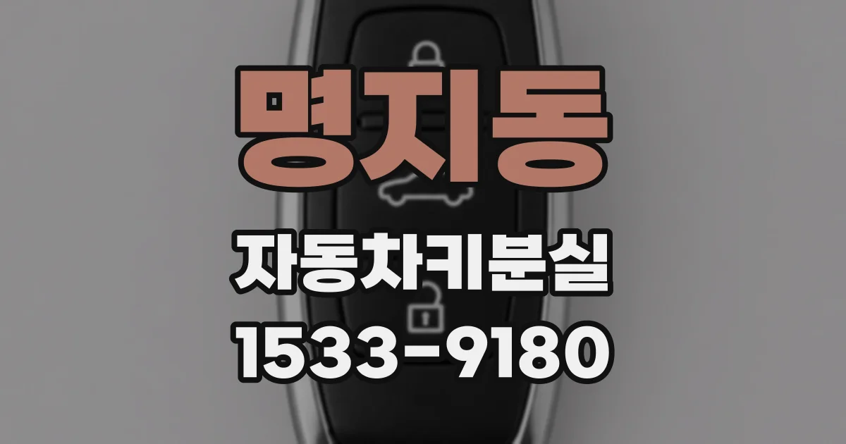 명지동 자동차키분실