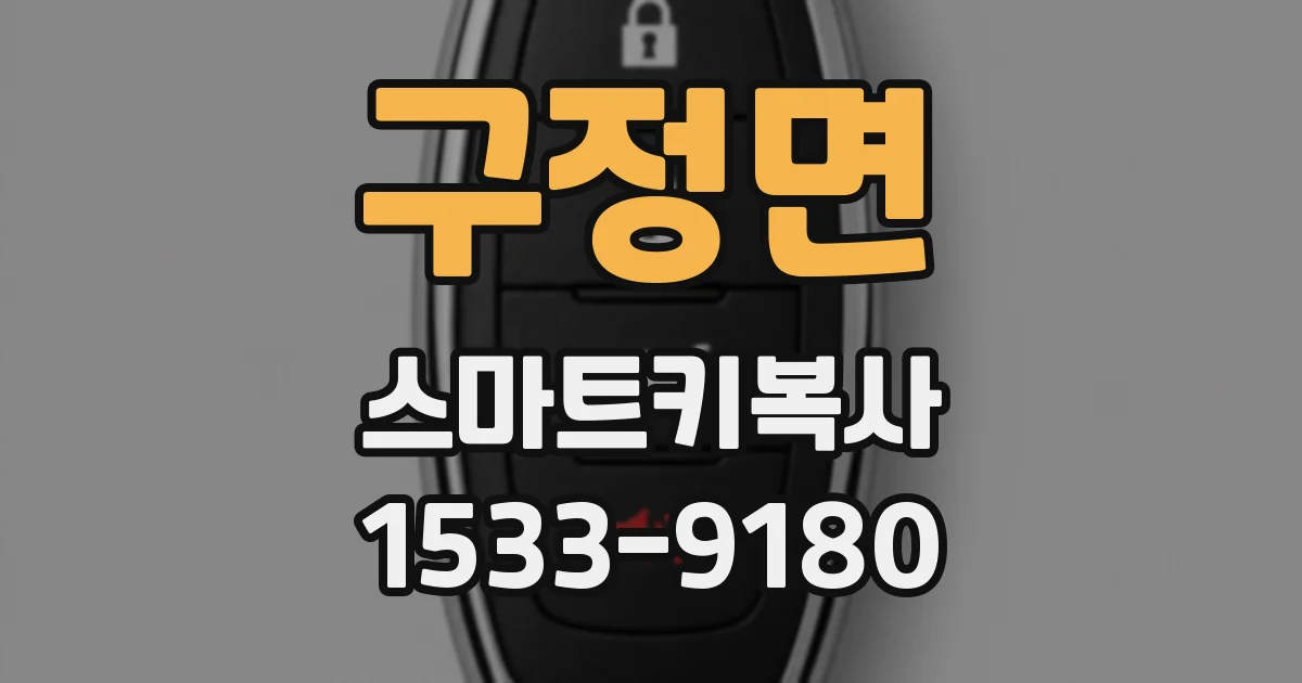 구정면 스마트키복사
