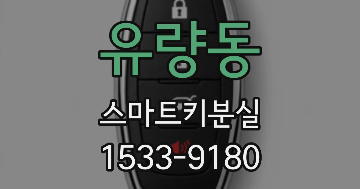 유량동 스마트키분실