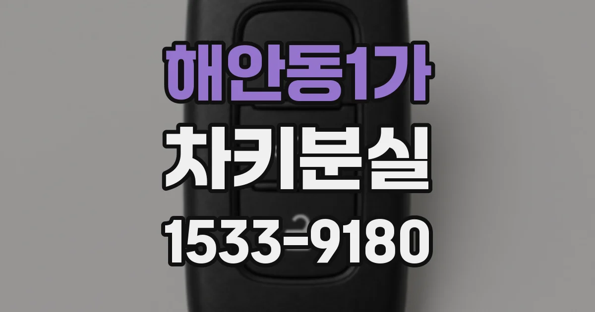 해안동1가 차키분실