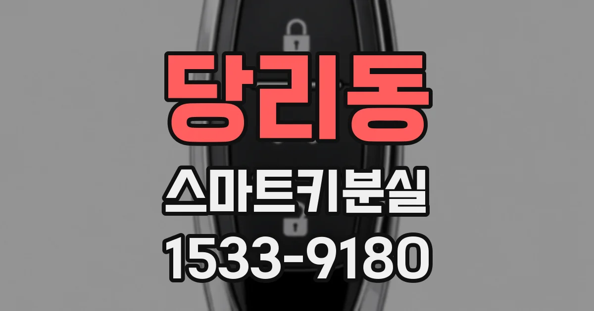 당리동 스마트키분실