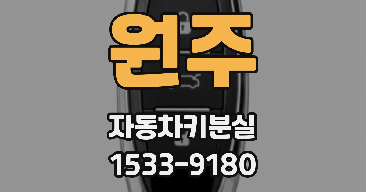 원주 자동차키분실