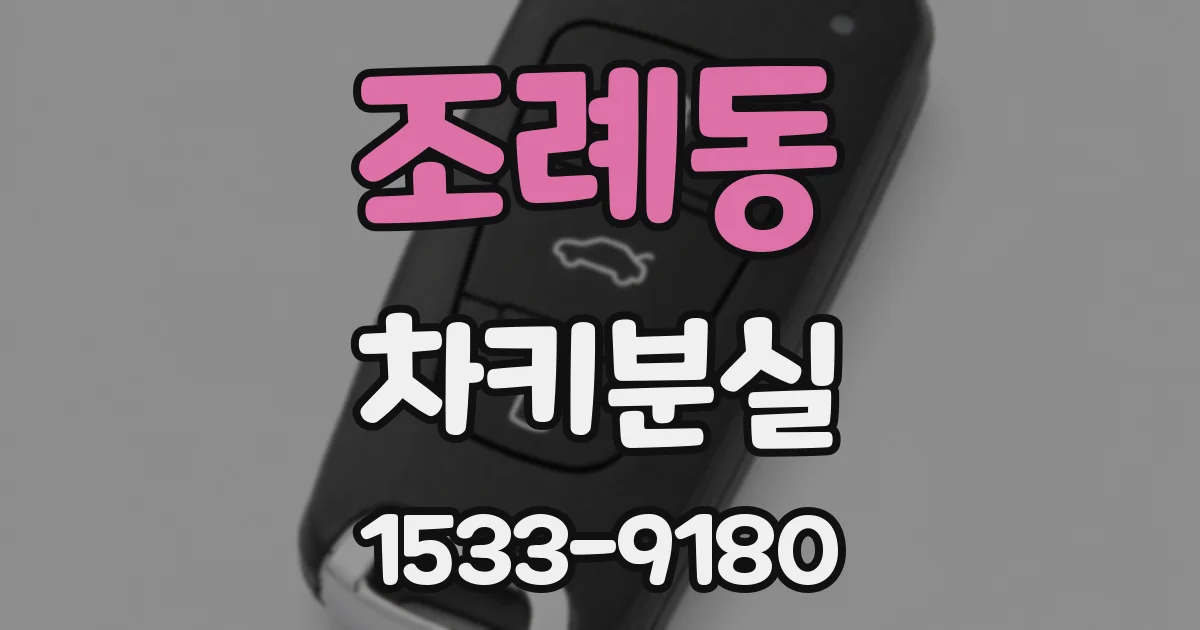 조례동 차키분실