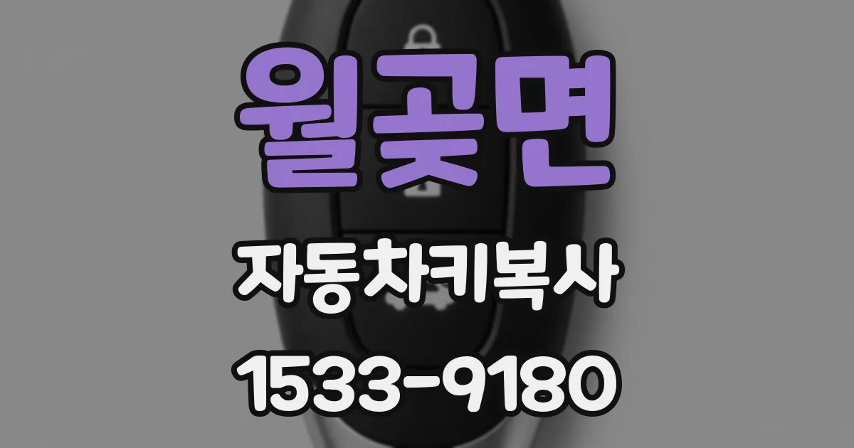 월곶면 자동차키복사