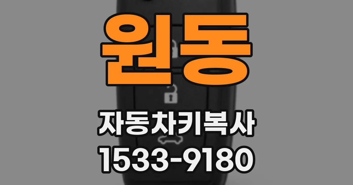 원동 자동차키복사