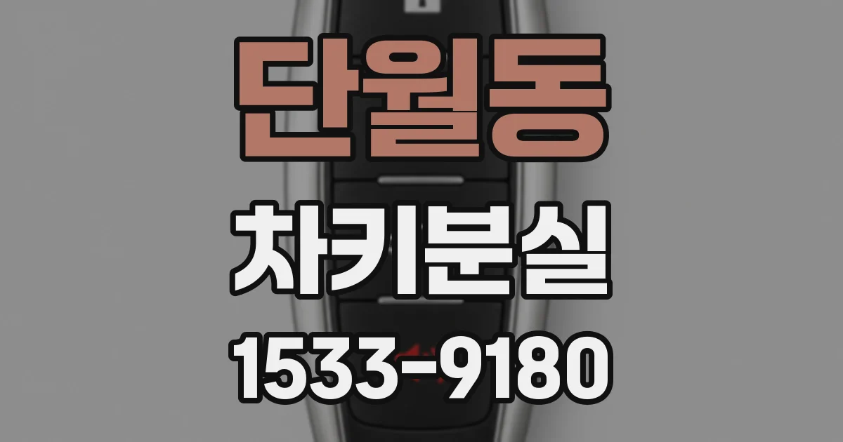 단월동 차키분실