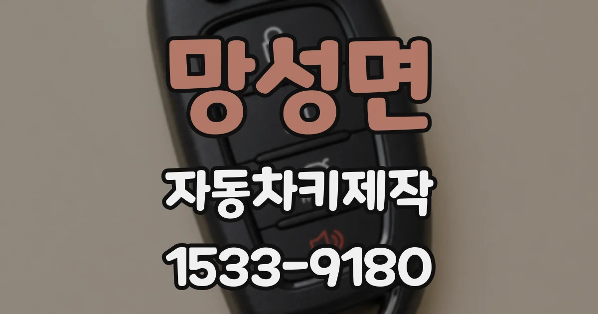 망성면 자동차키제작