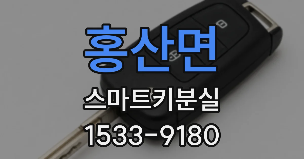 홍산면 스마트키분실