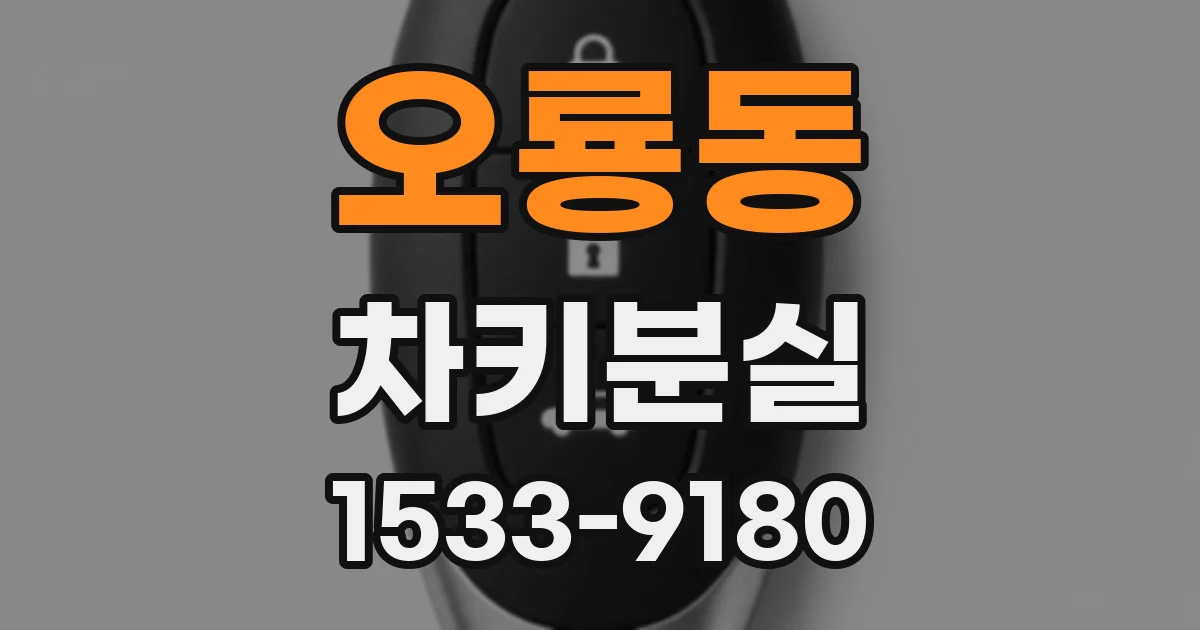 오룡동 차키분실