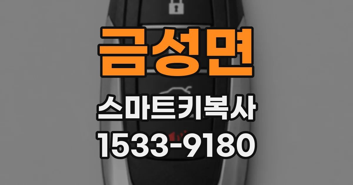 금성면 스마트키복사