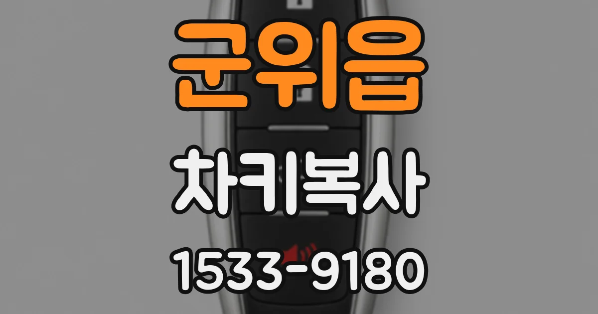 군위읍 차키복사
