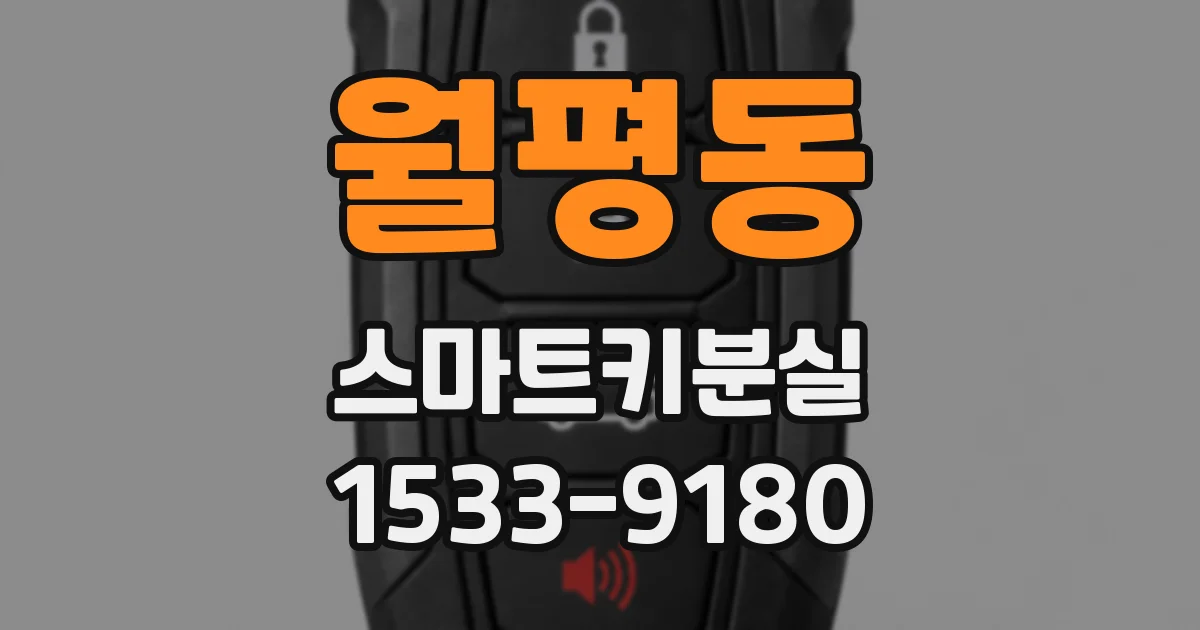 월평동 스마트키분실