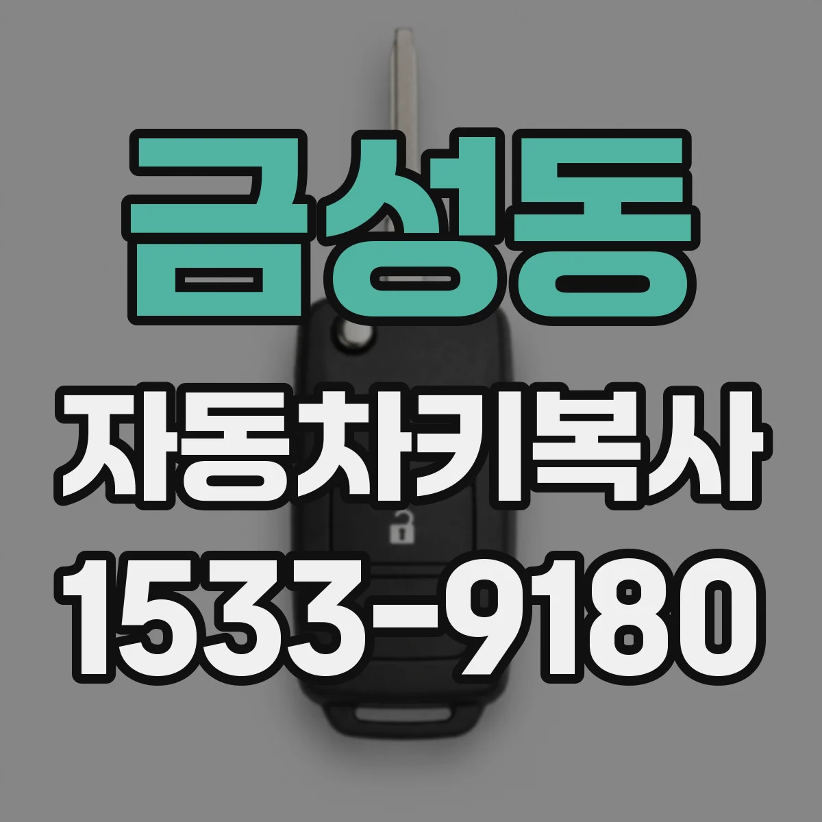 금성동 자동차키복사
