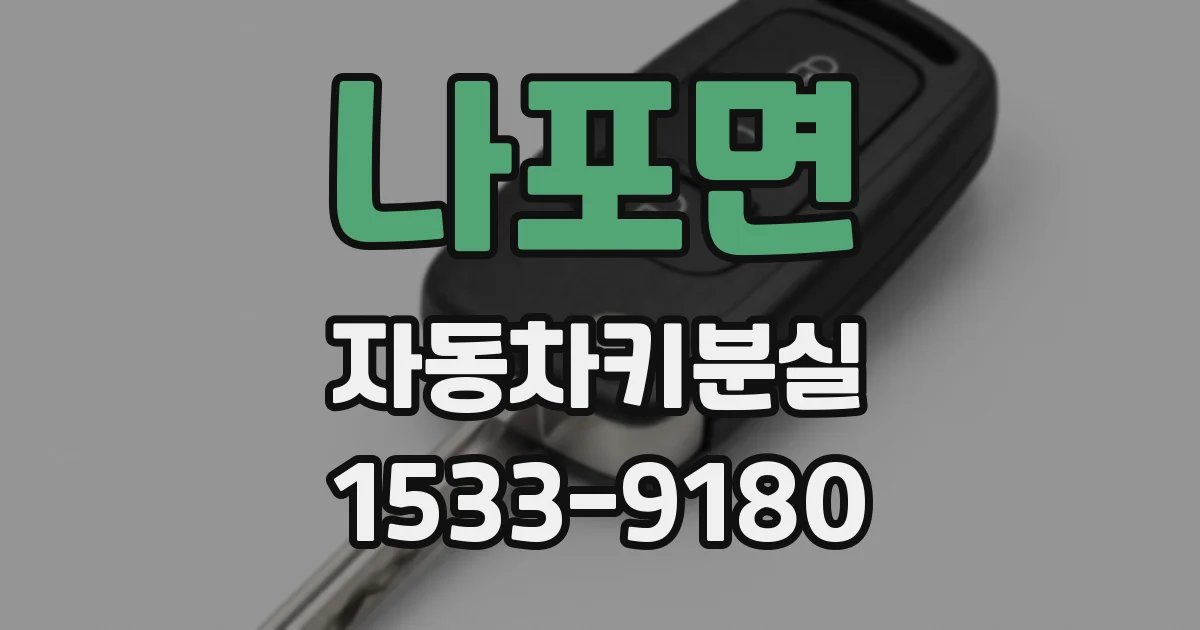 나포면 자동차키분실