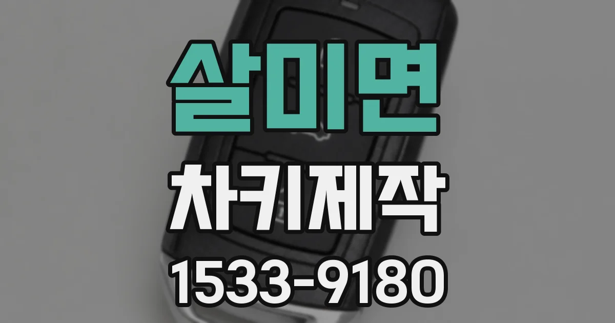살미면 차키제작