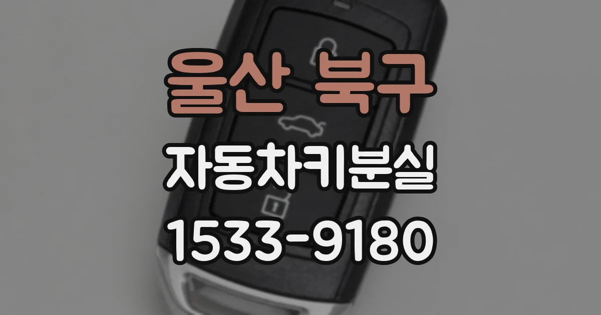 울산 북구 자동차키분실