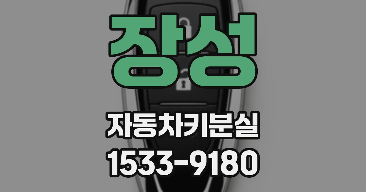 장성 자동차키분실