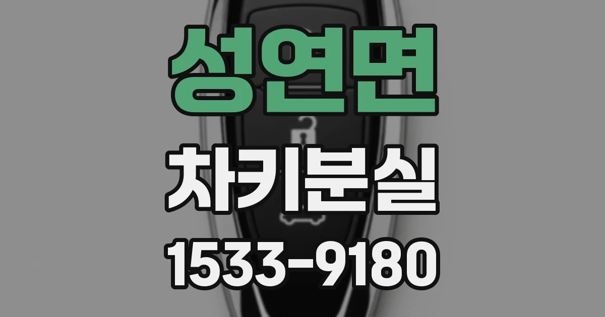 성연면 차키분실